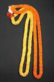 HALAULEIROYALILIMA.jpg
