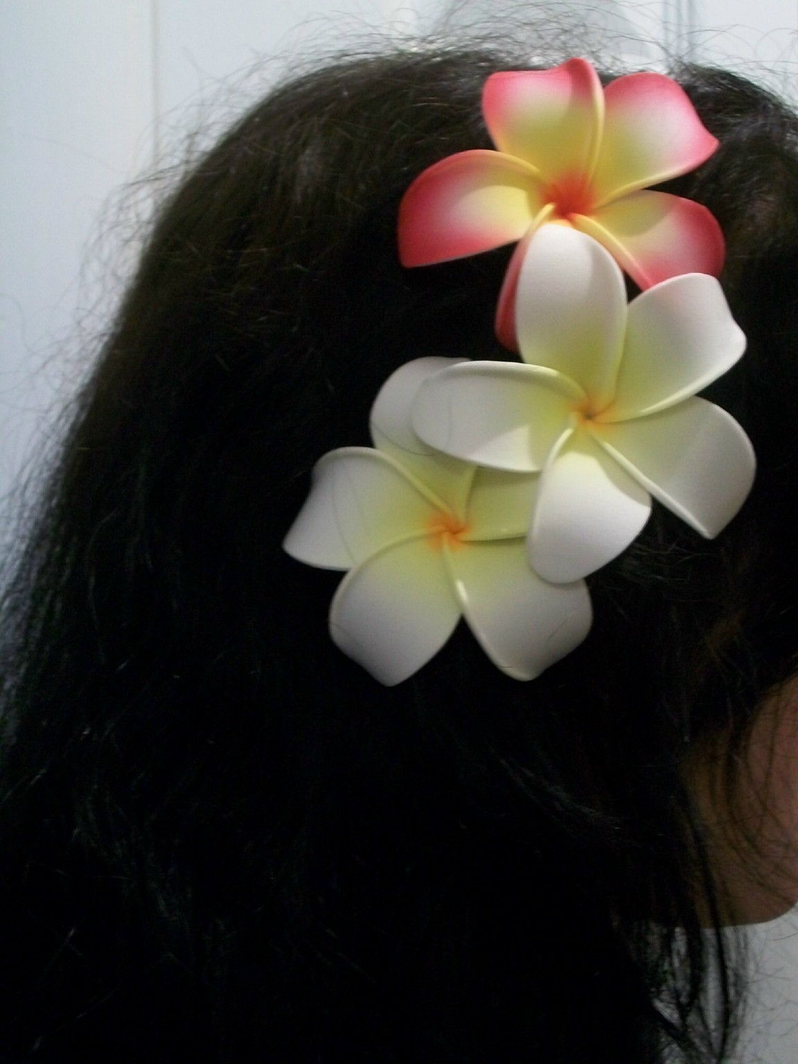 ebayflowerplumeriapinkspray.jpg