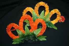 halauilimacrownflower.jpg