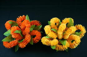 halauilimaheadpiece.jpg