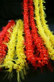 halauilimaohailehua.jpg