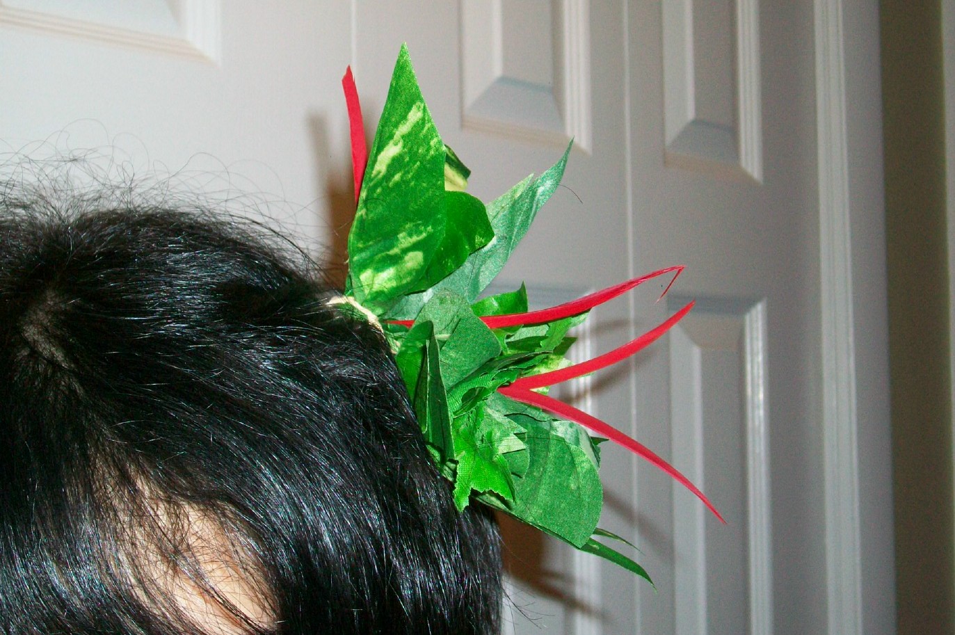 halaushophawaiiancombfeatherclose.jpg