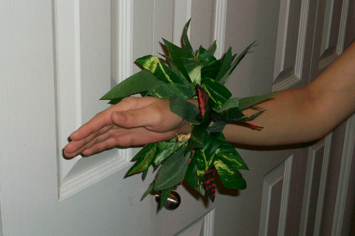 halaushophawaiianwristclose.jpg